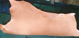Hovězí kůže  hlazenice 3,5 mm č.812